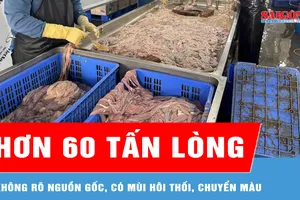 Thu giữ hơn 60 tấn lòng lợn không rõ nguồn gốc, xuất xứ 