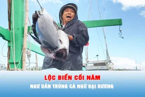 Podcast bản tin tối 6-2: Ngư dân trúng cá ngừ đại dương những ngày giáp Tết