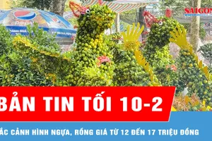 Bản tin tối 10-2: Tắc cảnh hình ngựa, rồng giá từ 12 đến 17 triệu đồng 