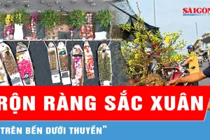 Rộn ràng sắc xuân "Trên bến dưới thuyền" tết Bính Ngọ 2026