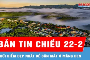 Bản tin chiều 22-2: Thời điểm đẹp nhất để săn mây ở Măng Đen