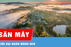 Săn mây giữa đại ngàn Măng Đen
