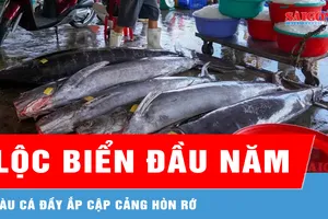 Ngư dân Khánh Hòa hứng khởi đón chuyến biển đầu xuân 