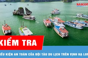 Kiểm tra điều kiện an toàn của đội tàu du lịch trên vịnh Hạ Long