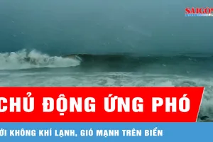 Các địa phương chủ động ứng phó với không khí lạnh, gió mạnh trên biển
