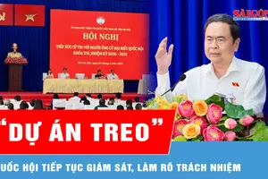 Dự án không còn phù hợp thì mạnh dạn điều chỉnh hoặc hủy bỏ quy hoạch