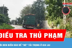 Điều tra thủ phạm bôi đen biển báo để "né" tải trọng ở Gia Lai 
