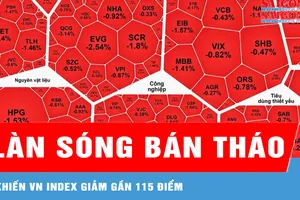 Làn sóng bán tháo khiến VN Index giảm gần 115 điểm