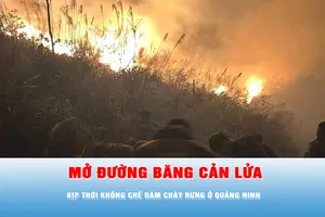 Podcast tin chiều 13-3: Kịp thời khống chế đám cháy rừng ở Quảng Ninh