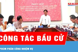 TPHCM phân công nhiệm vụ thực hiện công tác tổ chức bầu cử 