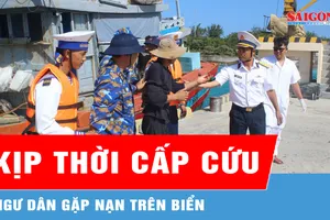 Khánh Hòa: Kịp thời cấp cứu ngư dân gặp nạn trên biển