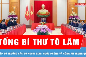 Tổng Bí thư Tô Lâm tiếp Bộ trưởng các Bộ Ngoại giao, Quốc phòng và Công an Trung Quốc