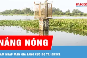 Nắng nóng khiến xâm nhập mặn gia tăng cục bộ tại ĐBSCL 