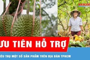 Một số ngành hàng, sản phẩm được ưu tiên hỗ trợ 