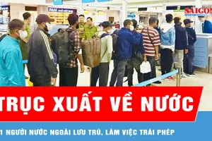 Trục xuất 11 người nước ngoài lưu trú, làm việc trái phép 