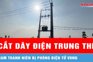 Dùng sào tự chế cắt dây điện trung thế, nam thanh niên bị phóng điện tử vong