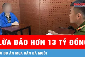 Cựu cán bộ kỹ thuật trường đại học lừa đảo hơn 13 tỷ đồng dự án mua bán đá muối 