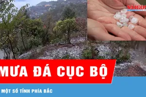 Xuất hiện mưa đá cục bộ ở một số tỉnh phía Bắc