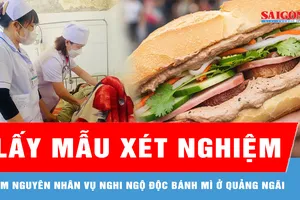 Lấy mẫu, xác minh nguyên nhân vụ nghi ngộ độc bánh mì ở Quảng Ngãi