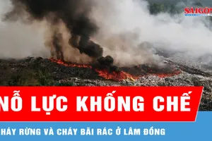 Nỗ lực khống chế đám cháy rừng và cháy bãi rác ở Lâm Đồng