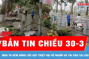 Bản tin chiều 30-3: Mưa to kèm dông lốc gây thiệt hại về người và tài sản tại Lào Cai