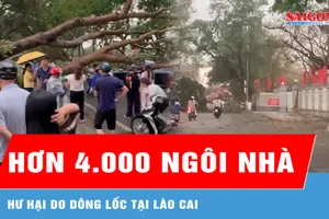 Hơn 4.000 ngôi nhà tại Lào Cai hư hại do dông lốc 