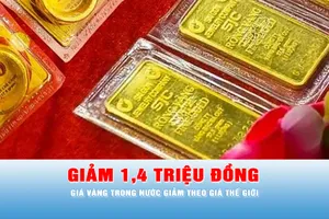 Podcast tin trưa 30-3: Giá vàng trong nước giảm theo vàng thế giới