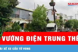 Lâm Đồng: Cẩu cây cảnh vướng điện trung thế, tài xế tử vong 