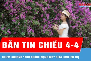  Bản tin chiều 4-4: Chiêm ngưỡng "con đường mộng mơ" giữa lòng đô thị