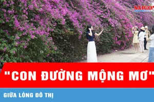 Chiêm ngưỡng "con đường mộng mơ" giữa lòng đô thị 