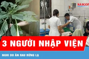 Nghi do ăn rau rừng lạ, 3 người nhập viện cấp cứu 