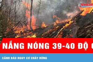 Nắng nóng 39-40 độ C, cảnh báo nguy cơ cháy rừng