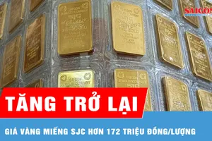 Sáng 10-4, giá vàng trong nước tăng trở lại, vàng miếng SJC hơn 172 triệu đồng/lượng