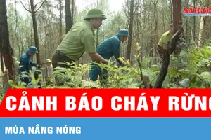 Cảnh báo cháy rừng mùa nắng nóng