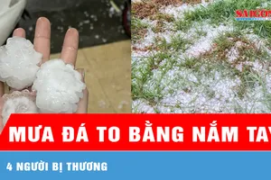 Lào Cai: Mưa đá to bằng nắm tay, 4 người bị thương