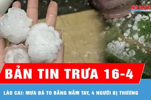 Bản tin trưa 16-4: Mưa đá to bằng nắm tay, 4 người bị thương