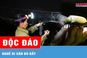 Độc đáo nghề đi săn bù rầy 