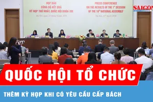 Quốc hội tổ chức thêm kỳ họp khi có yêu cầu cấp bách 