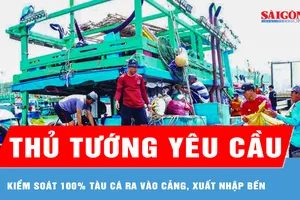 Thủ tướng yêu cầu kiểm soát 100% tàu cá ra vào cảng, xuất nhập bến 
