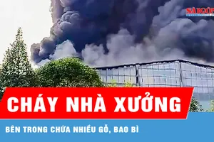 Khống chế đám cháy lớn ở Khu công nghiệp Tân Bình