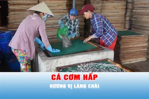 Podcast tin tối 8-5: Nhịp nhàng đưa hương vị làng chài ra sân đón nắng