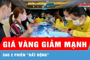 Sáng 11-5, giá vàng trong nước giảm mạnh sau 2 phiên "bất động" 
