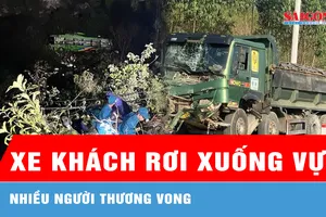 Gia Lai: Xe khách chở 12 người rơi xuống vực, nhiều người thương vong 