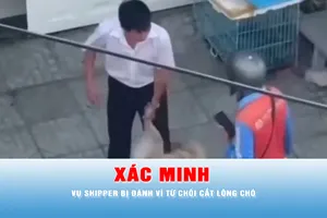 Podcast bản tin trưa 11-5: Xác minh vụ shipper bị đánh vì từ chối cắt lông chó