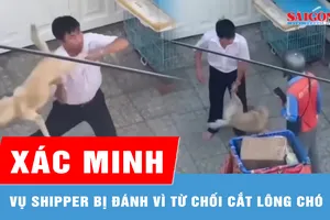 Xác minh vụ shipper bị đánh vì từ chối cắt lông chó