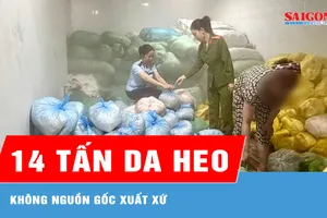 Thanh Hóa: Phát hiện hơn 14 tấn da heo không nguồn gốc xuất xứ
