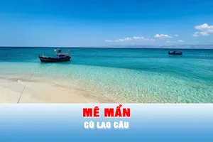 Podcast bản tin trưa 16-5: Mê mẩn Cù Lao Câu