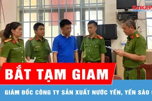 Bắt giám đốc công ty sản xuất nước yến, yến sào giả 