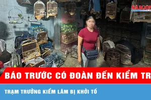 Báo trước có đoàn đến kiểm tra, trạm trưởng kiểm lâm bị khởi tố