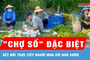 Đồng Tháp hỗ trợ nông dân đưa nông sản vào “chợ số” 